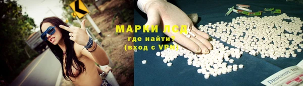 PSILOCYBIN Кодинск