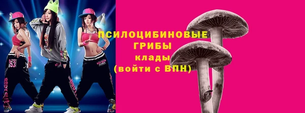 прущая мука Корсаков