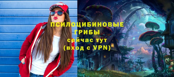 сатива Коряжма