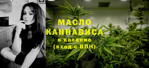 сатива Коряжма