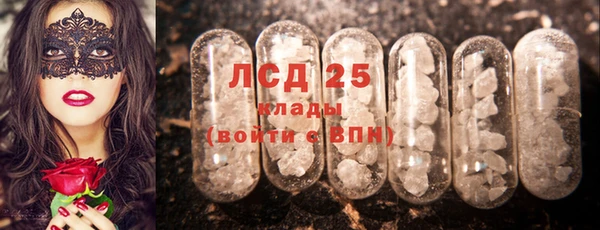 PSILOCYBIN Кодинск