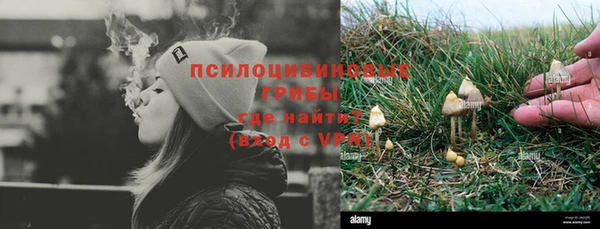 PSILOCYBIN Кодинск